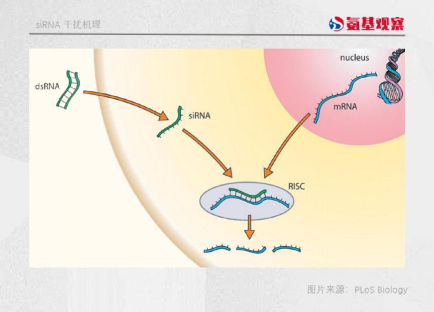 治疗乙肝的最新药物,治疗乙肝的最新药物，未来之路的曙光