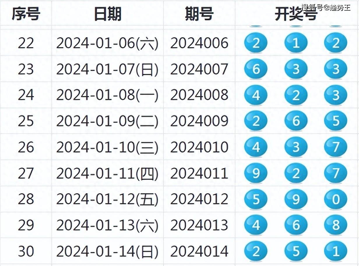 2024新奥历史开奖结果查询,揭秘2024新奥历史开奖结果查询系统，功能与操作指南