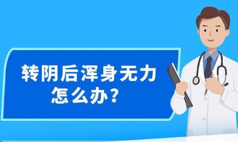 新澳内部资料精准大全,新澳内部资料精准大全，揭示背后的风险与应对之道