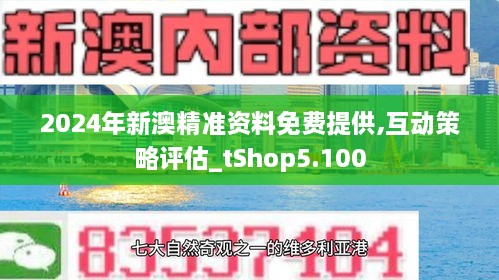 新澳2024年精准资料33期,新澳2024年精准资料解析，第33期的独特视角