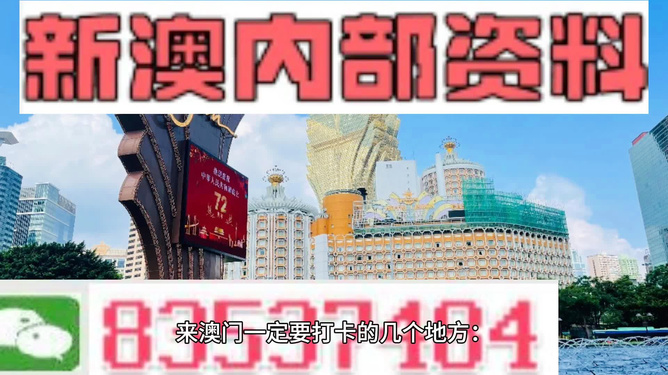 2024澳门正版精准免费,澳门正版精准免费——探索未来的预测与机遇